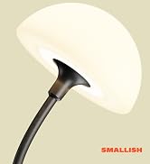 Shroomate Clip-On Bedside Reading Lamp, Flexible LED Book Light with Gooseneck for Bed, Desk, Hea...