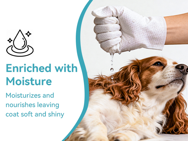 pet wipes for dogs