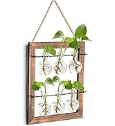 Elsjoy Wall Hanging Propagation Station, Hanging Glass Terrarium Wall Planter Vase for Hydroponic...