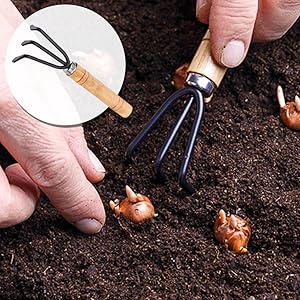 garden rake tools