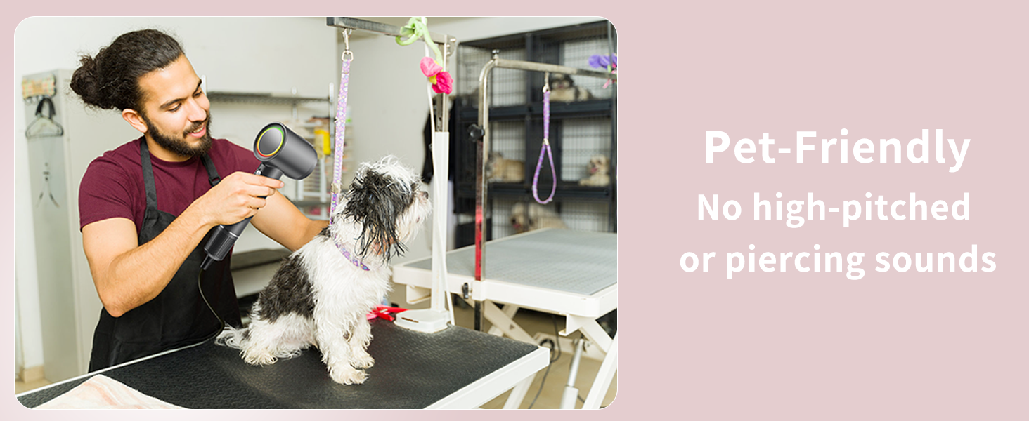 hair dryer pet dog