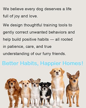 dog training collar
