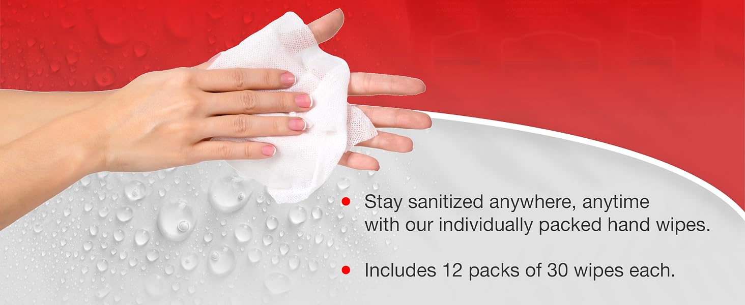 Diamond Wipes WipeEssentials Sanitizing Wipes