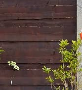 12'' Weed Wacker Cordless