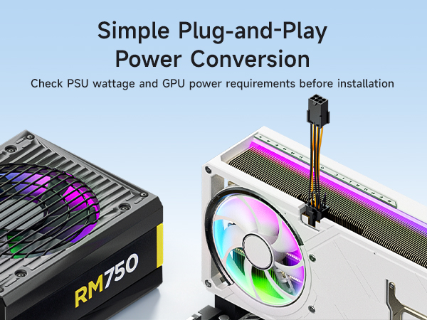 6 Pin to 8 Pin PCIe Adapter Power Cable
