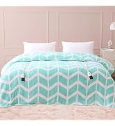 VENTIMI Electric Blanket Queen Size, 84" x 90" Heated Blanket with 9 Heat Levels & 2-4-8-10 Hours...