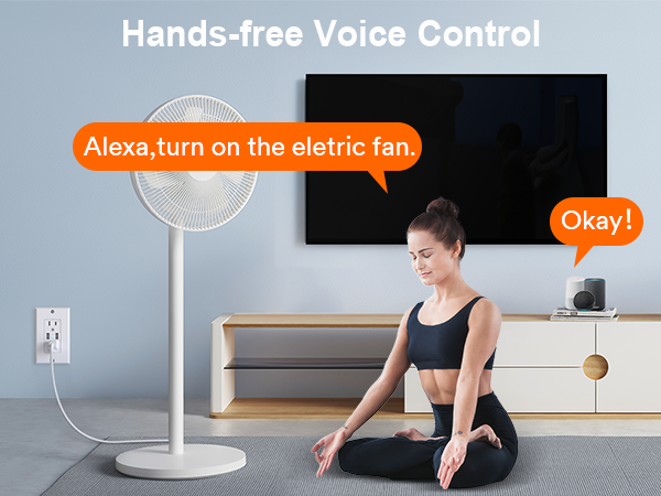smart wall outlet