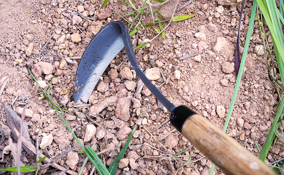 weed remover tool