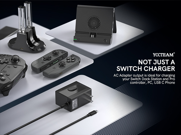 switch charger