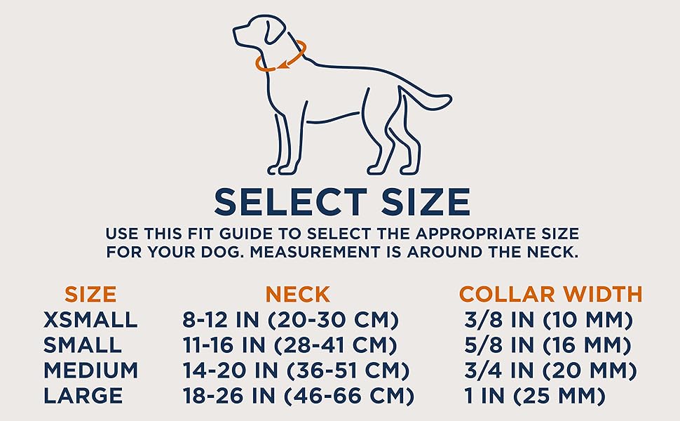 GoTags dog collar sizing chart