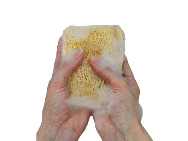 natural kitchen sponge loofah sponges