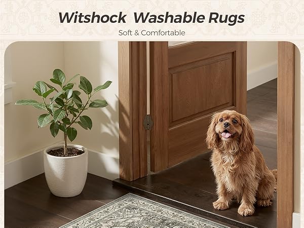 washable rug 2x3