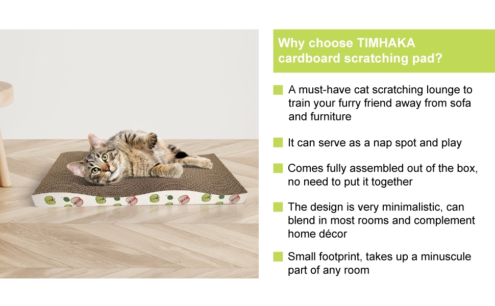 cat scraching board