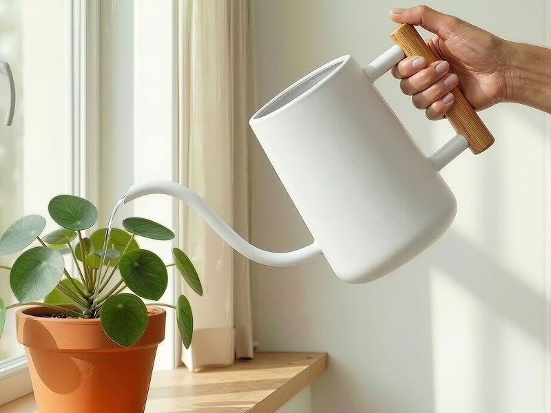 tiny watering can watering plants plant water can watering can steel watering cans for indoor plants