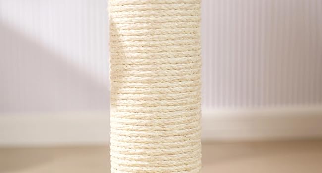 cat scratchers for indoor cats