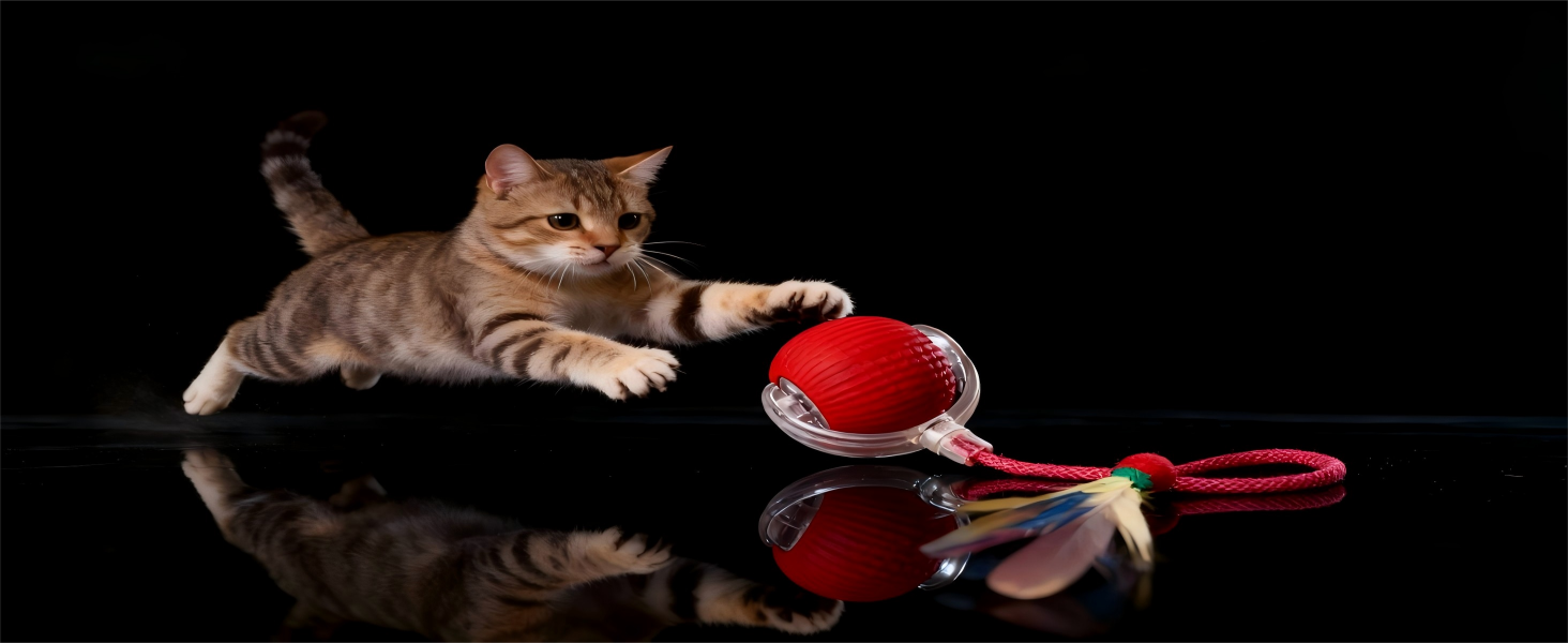 Tabby cat jumping high to catch red electronic rolling ball toy against black background