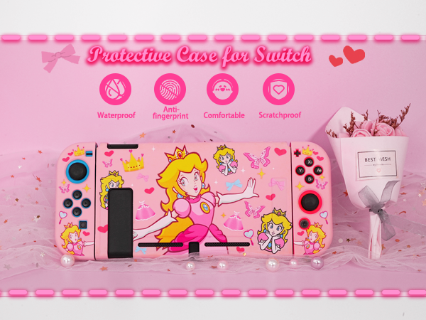 Switch Case 2017