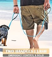 2 handles dog leash