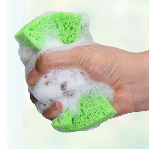 Compressed Sponges