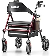 Bluelog Walker for Seniors
