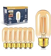 Sphoon dimmable Tubular led Bulb, 6w e26 Bulb T45G T14G,60 Watt Edison Vintage Bulbs,Warm White 2...