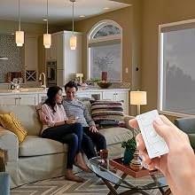 Pico remote, wireless remote, Lutron