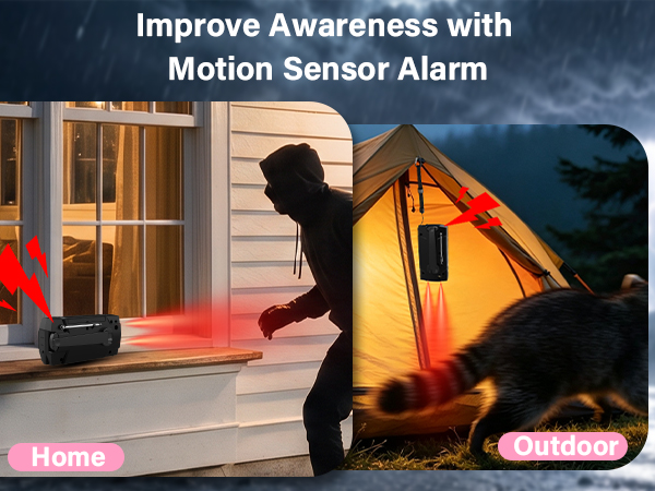 Motion sensor alarm
