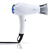 InStyler Mini Travel Dryer - Portable Small Professional Dryer - Fast Drying for Smooth, Healthy,...