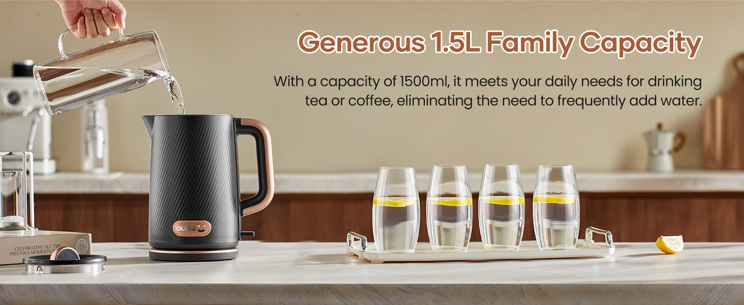 OLEGA Electric Kettle