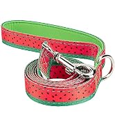 EcoBark Dog Leash - Soft & Reflective Comfort Leash with Padded Handle - Strong Durable Heavy Dut...