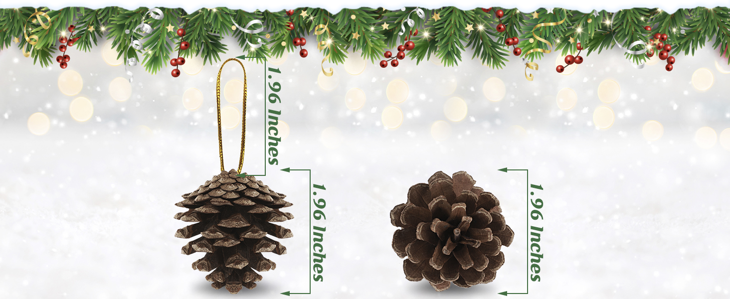 pinecones