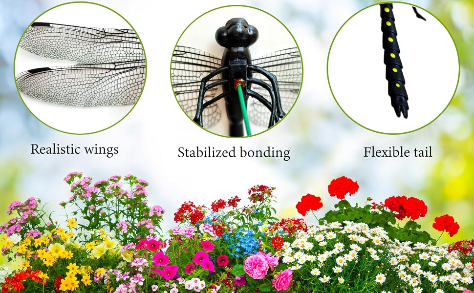 Black 3D Dragon Fly