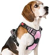 rabbitgoo Dog Harness Medium Sized, No Pull Pet Harness with 3 Buckles, Adjustable Soft Padded Do...