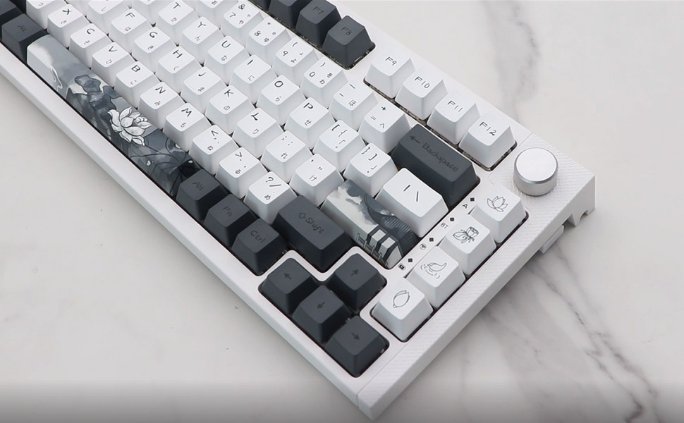 oem profiel keycaps