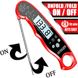 digital thermometer cooking