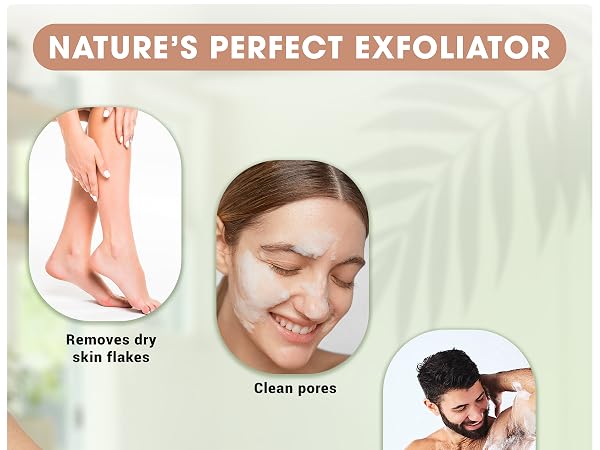 Natural loofah applications