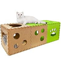 https://m.media-amazon.com/images/I/41HWQF2f%2BKL.__AC_SR200,225___.jpg