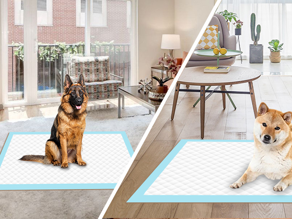 Floor and Carpet Protection