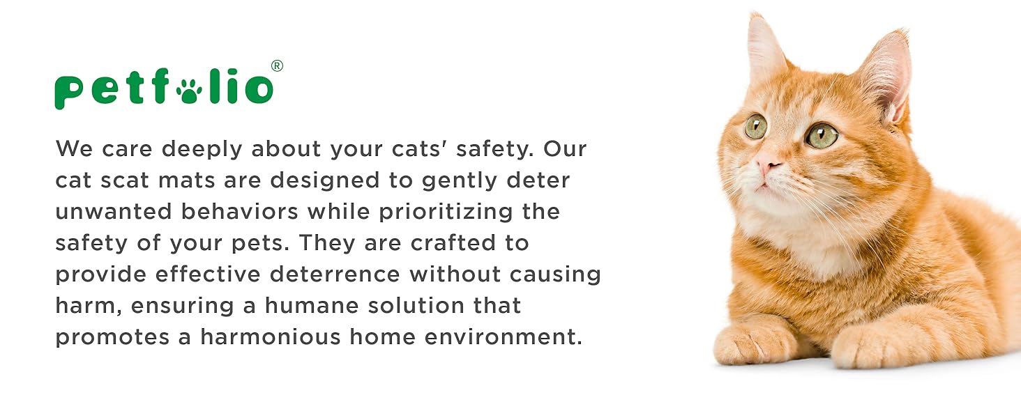 Petfoio Cares