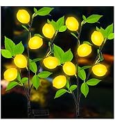 TONULAX Solar Garden Lights - Solar Lemon Tree Lights with Larger Solar Capacity, Solar Decorativ...