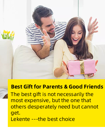 phone holder car charger