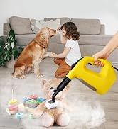 Handheld Steam Cleaner