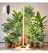 Oizuon Plant Grow Lights Indoor – 64.5'' Tall Full Spectrum Plant Growing Lamps with 660nm, 3000K...