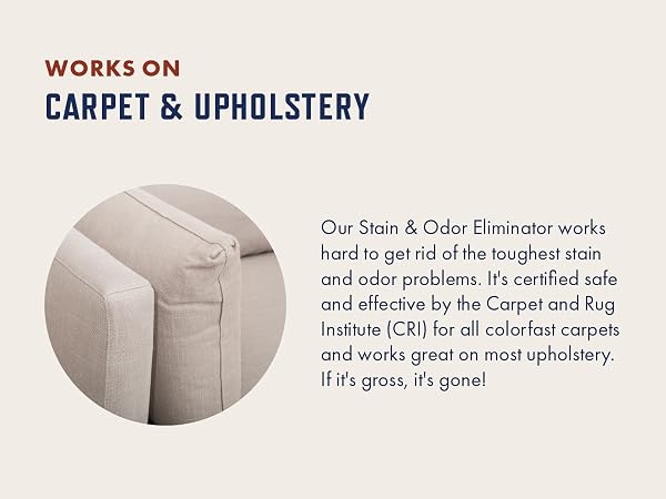 carpet upholstery cleaner