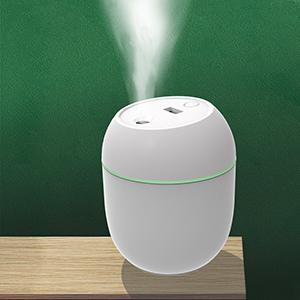 Mini Humidifier