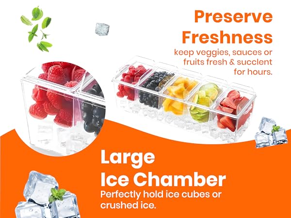 condiment server with ice tray