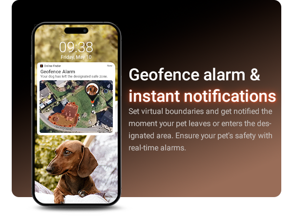 geofence alarm