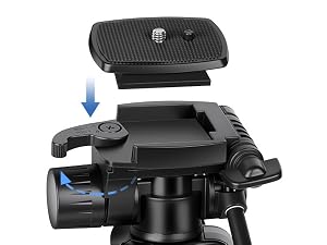 tripod stand