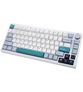 GK GAMAKAY TK75 V2 75% Silent Mechanical Keyboard with TFT Screen, Hot Swap RGB Bluetooth 5.0/2.4...