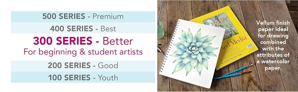 Strathmore 300 Series papers, better quality for beginning and student artists. Drawing, painting